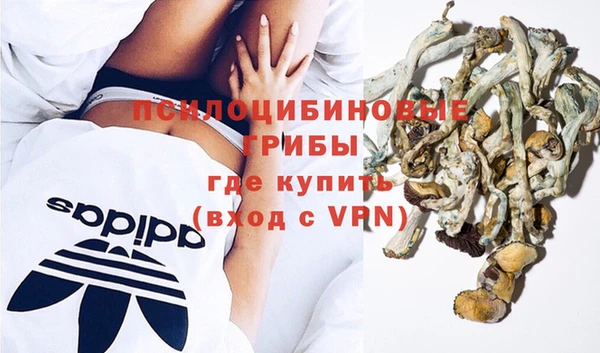 кокаин премиум Ельня