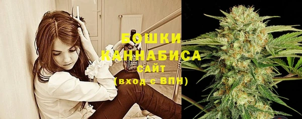 MESCALINE Аркадак