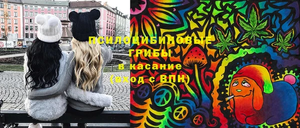 гашик Армянск