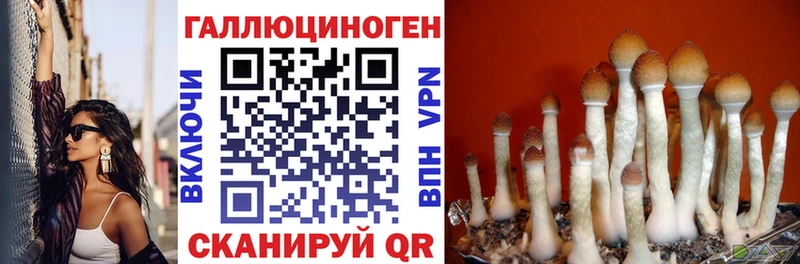 купить наркотики цена  Аркадак  Галлюциногенные грибы прущие грибы 